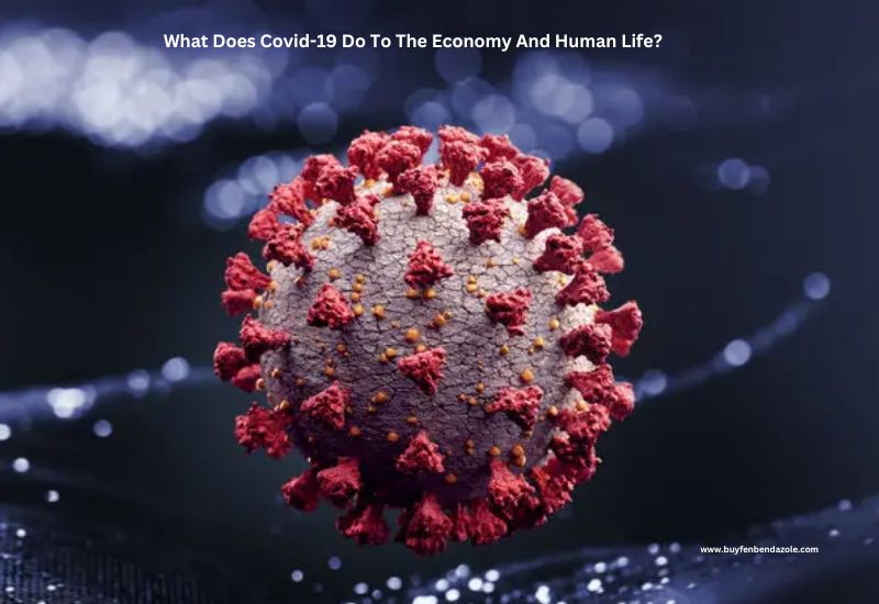 What Does Covid-19 Do To The Economy And Human Life?