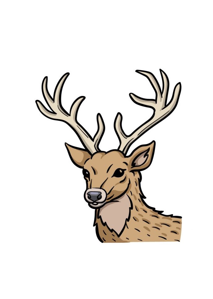 How To Draw A Deer Head