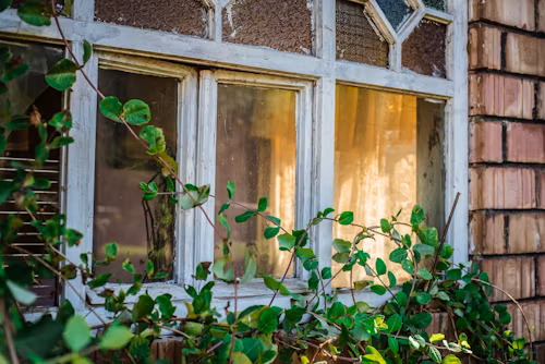 How Kanata Homeowners Can Identify Early Signs of Mold Damage